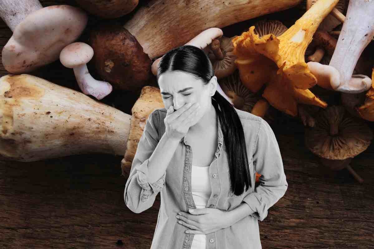 Allerta funghi velenosi: questi sono identici a quelli buoni ma ti mandano all’ospedale Allerta funghi velenosi: questi sono identici a quelli buoni ma ti mandano all’ospedale