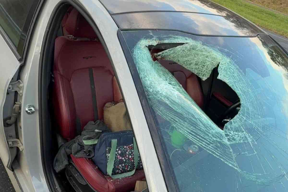 Torna dal lavoro e il parabrezza dell’auto esplode all’improvviso: la causa è clamorosa