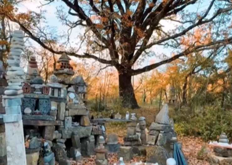 il bosco selva di sogno in toscana