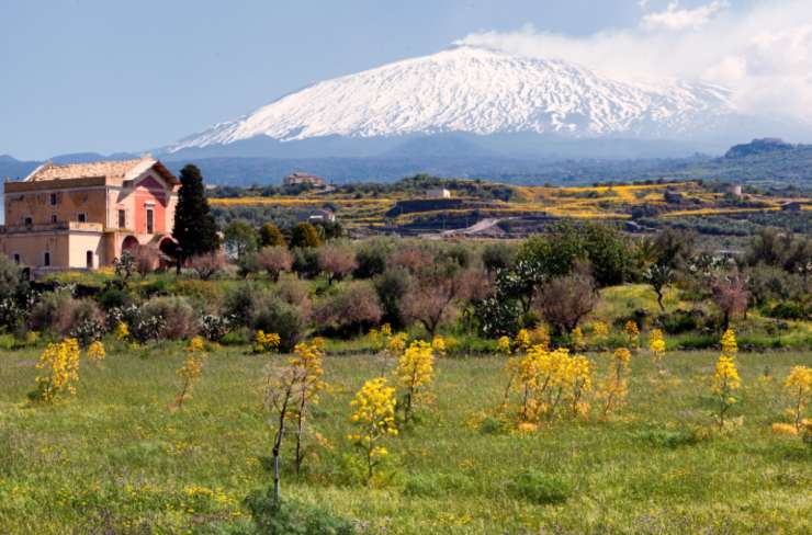 il parco dell'etna