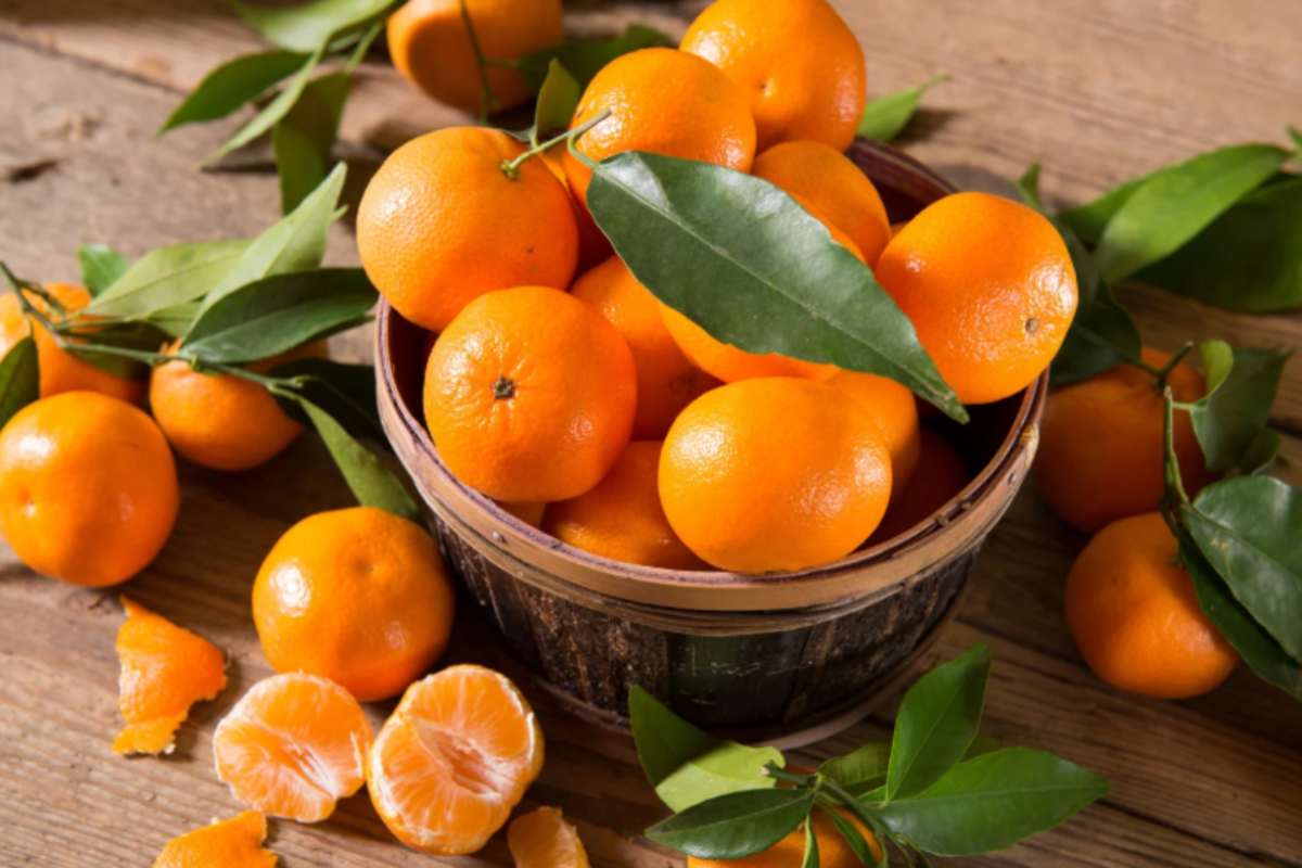 Tutti eliminiamo le pellicine bianche da mandarini e arance: ecco perché stiamo commettendo un grave errore Tutti eliminiamo le pellicine bianche da mandarini e arance: ecco perché stiamo commettendo un grave errore