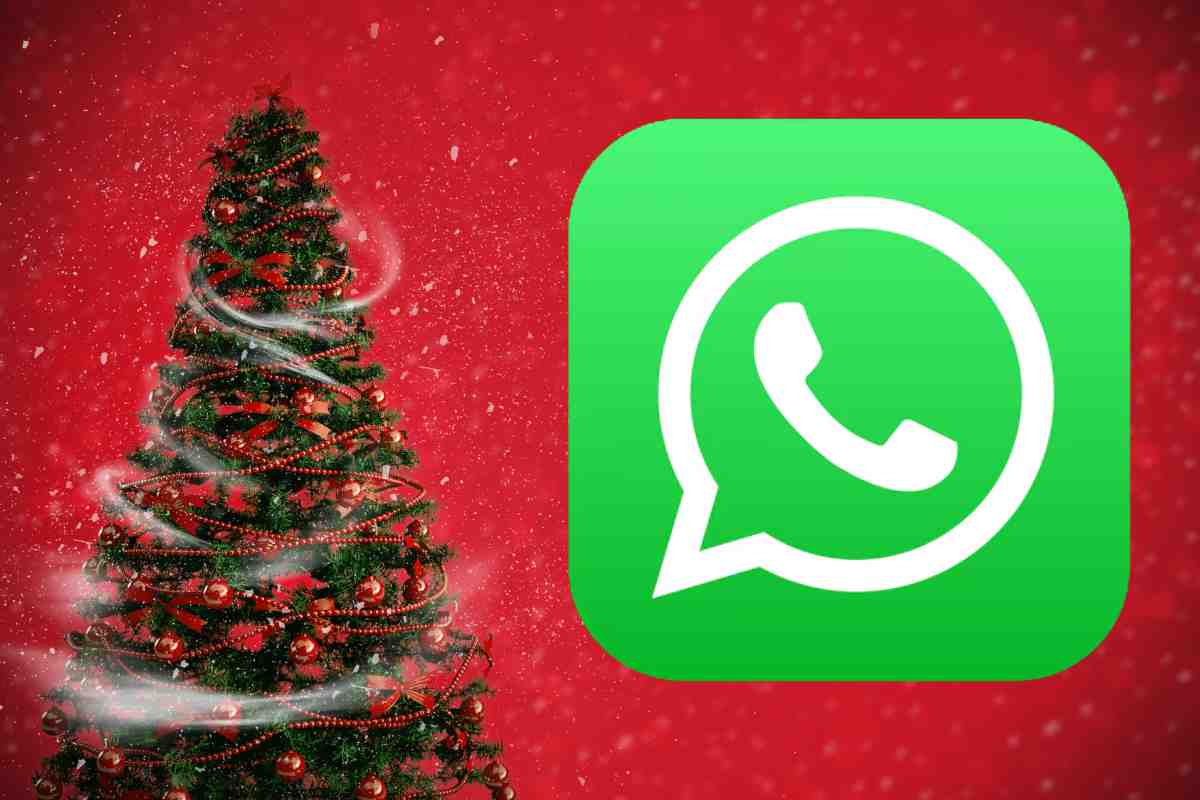 Albero di Natale e logo WhatsApp