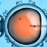 fecondazione assistita