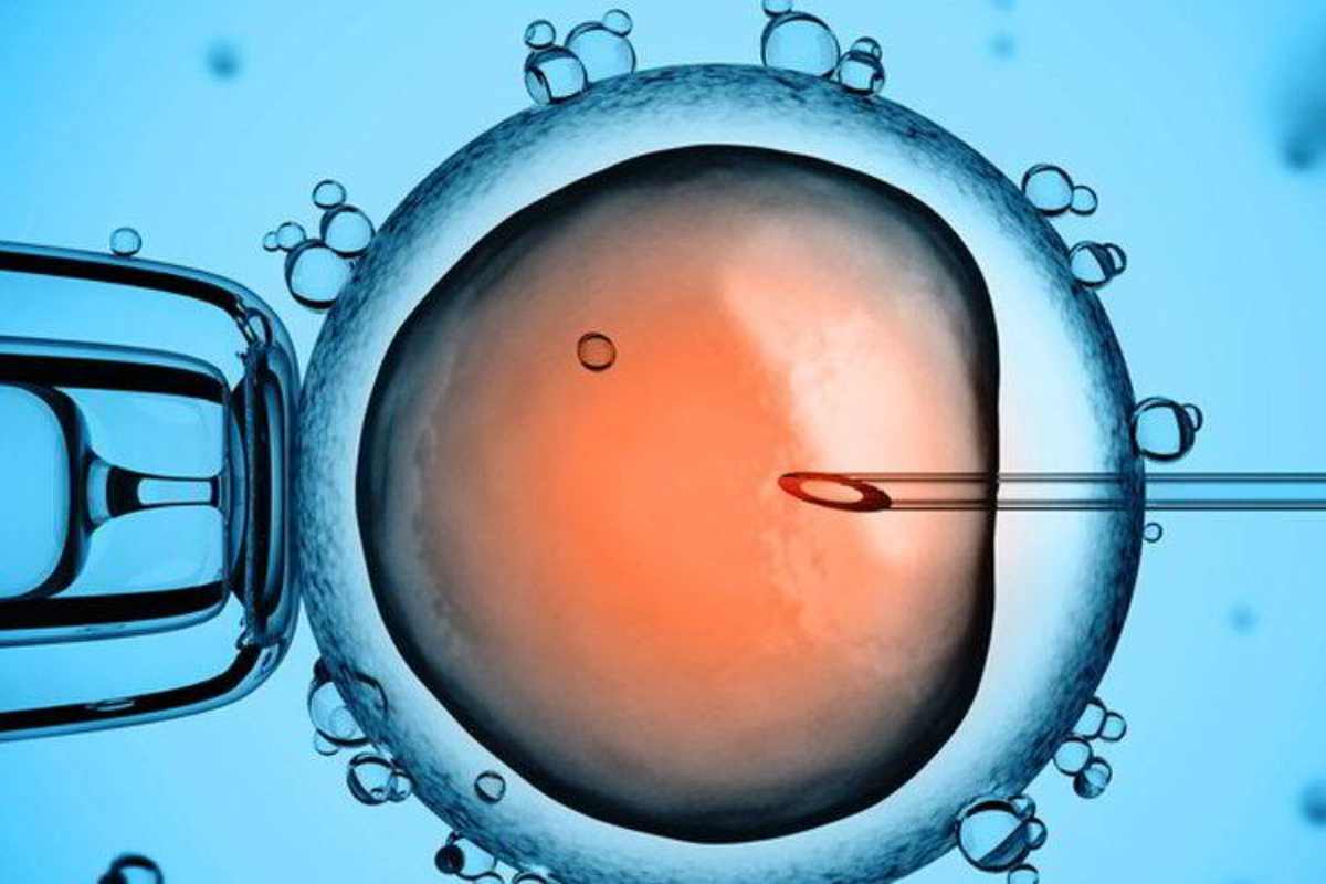 Bomba nelle cliniche della fertilità, donatore di sperma portatore di gene killer: almeno 197 bambini nati in Europa Bomba nelle cliniche della fertilità, donatore di sperma portatore di gene killer: almeno 197 bambini nati in Europa