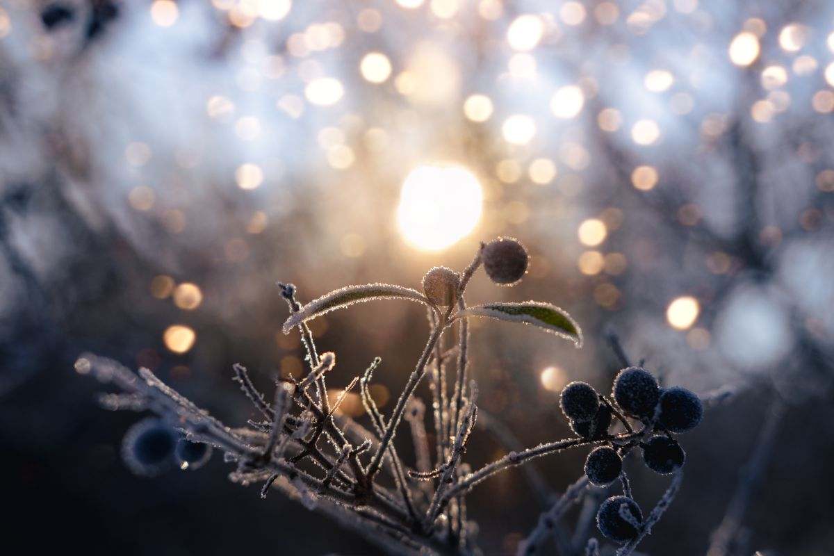 solstizio d8217inverno un giorno importante 232 il giorno pi249 corto nell8217emisfero boreale da Cityrumors.it solstizio d8217inverno un giorno importante 232 il giorno pi249 corto nell8217emisfero boreale