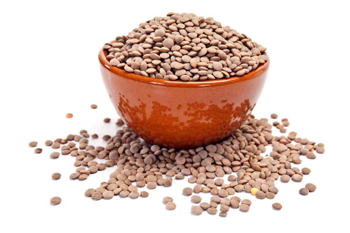 ciotola lenticchie su sfondo bianco