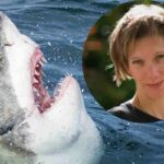 Uno squalo bianco e nel tondo Erica Fox