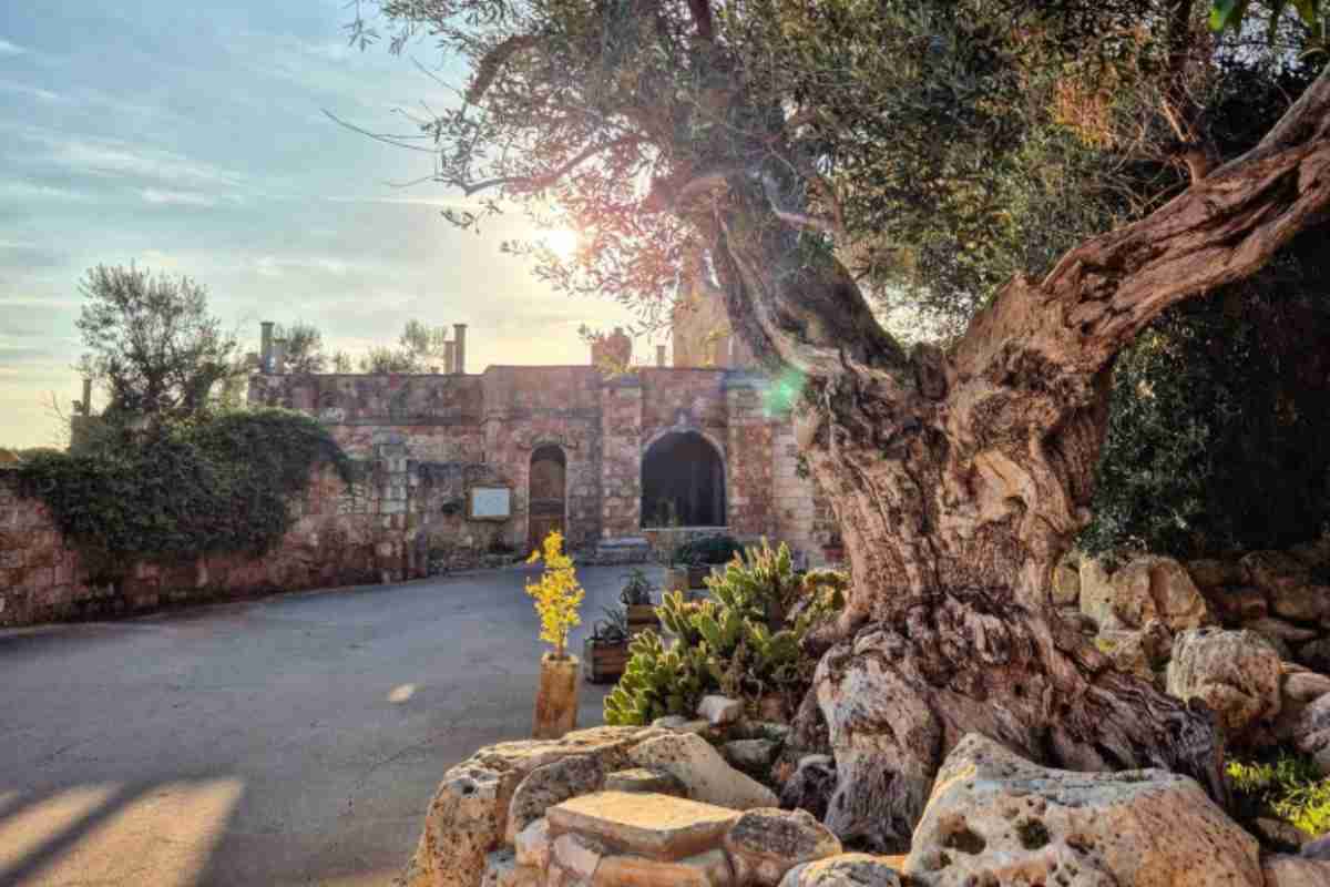 scorcio tenute al bano