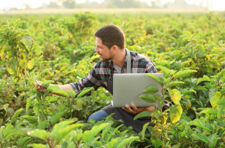 uomo in mezzo ad un campo con un computer 