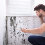 ragazzo spaventato dalla muffa sul muro