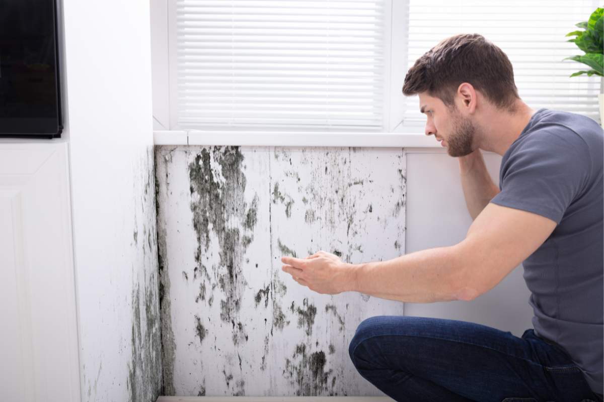 Altro che candeggina, per eliminare la muffa in casa usa questa miscela potentissima 100% naturale